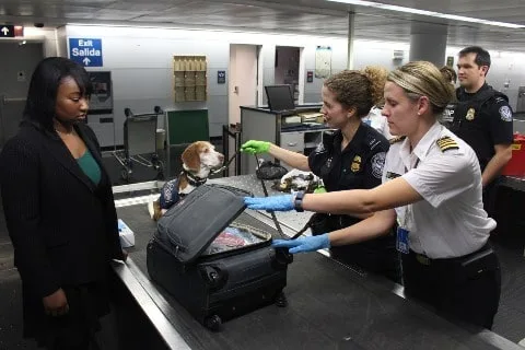 Wheeled Carry On Suitcase