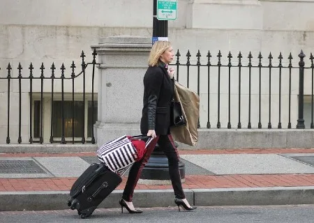 Best Rolling Garment Bag