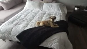 Can You Bring an Air Mattress to a Hotel